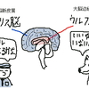 恋愛商材はダークサイド片道列車！？真のサムライ男子が身につけるべき本当の恋愛マインドセットとは？