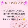 ひろの桜ごと🌸27花びら目