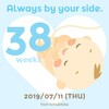 7月11日　38週に突入～出産への道のり～