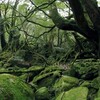 つれづれに