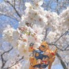百式の春