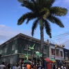 メデジンから飛行機移動。ついに、ジャマイカ上陸！！🇯🇲