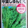 【栽培失敗】「春菊」の水耕栽培を始めました。種蒔きシーズン前の隙間期間で育ててみます