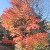 そうだ！温泉へ行こう♨　〜岐阜県　平湯温泉〜編