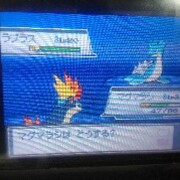 ハートゴールド カテゴリーの記事一覧 Haradaのポケモンブログ