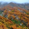 晩秋の二ノ滝コースにて