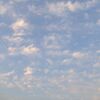 夢の島公園にて