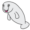 かわいいジュゴン のイラスト