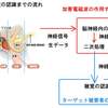 幻聴を人工的に生成する技術 簡略版