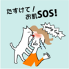敏感混合肌【D＆O】／35～44才（アラフォー）
