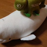 openSUSE TumbleweedでOllama+open-webuiなチャットボットを動かそう！