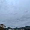 なんとか頑張った１日