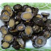 海岸でマツバガイを採取して、塩茹でにして食べてみました。