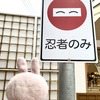 タイのチェンマイなのにタイ語は一切ナシΣ(･ω･ﾉ)ﾉ！”京都市カフェ”に行ってみた②
