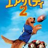 映画 スポーツ/コメディー『エア・バディ２』「幸せを運ぶミラクル犬バディ(≧▽≦)」