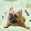 4月2日から『鼻ぺちゃ展in福岡』