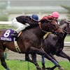 第26回（53回）高松宮記念（GⅠ）中京競馬場　芝1200m　2023年
