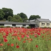 番外編：長島記念館