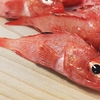 甘い煮付けは最上の料理！・・・最近口に入りづらいのは絶品のキンキ(金魚）