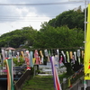 砂田川の鯉のぼり