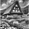 色んな風景～白川合掌村～
