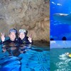 眠気や疲れも吹っ飛ぶきれいな景色!!どれもまた行きたい｜沖縄旅の思い出ﾌｫﾄｺﾝﾃｽﾄ