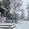 2023年2月10日 大雪