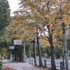 明後日は、大江戸骨董市