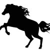 【阪神カップ 2024 予想】追い切り･ラップ適性 ＆ 各馬評価まとめ / あら不思議?