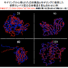 理研のタンパク質立体構造予測データベース