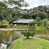 浄瑠璃寺－現存唯一の九体阿弥陀如来