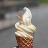富山県の新湊きっときと市場で白エビのソフトクリームを見つけた
