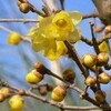 読売新聞【Advoice】