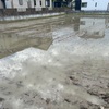 今の時期の田園風景が気持ち良くて好きです。