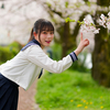 桜花爛漫  惜しむ春❣️ なるはちゃん その2 ─ リクエスト撮影 2024.4.11 松川周辺 ─