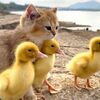令和の米騒動！？『猛暑』『インバウンド増加』で流通量が減少し価格高騰