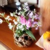 はつひがんの