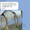メダカを使って一夫多妻願望を堂々と表明するチョイ悪おやじ