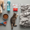 老犬・老猫と暮らす家庭の防災対策｜災害時に飼い主とペットを守る備えと実践ガイド