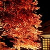紅葉とたてもののライトアップ2025～いい夫婦の日に夜の散策～