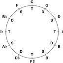 音楽の秘密　秘伝ノート Chromatic Mediants = Triad pairs = alt + Chords scale motion jazz for dummies