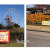 東武動物公園（子連れお出掛けスポット）