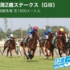 【 ハルの競馬予想 8/30.2020 】