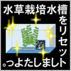 水草栽培水槽をリセットしましたよっ。①準備編