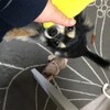 まろにー588日目