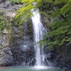 季節の風景🌸