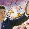 安倍政権は日本の民主主義を食い尽くした