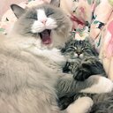 前に進めたと思えるまで続けるブログ