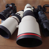 【機材レビュー】FE 400mm F2.8 GM OSSで撮るアクアパーク品川