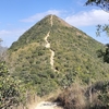 久しぶりの針山（Needle Hill）